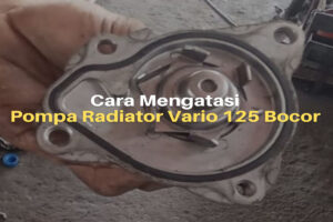 Penyebab Pompa Radiator Vario 125 Bocor & Cara Mengatasinya